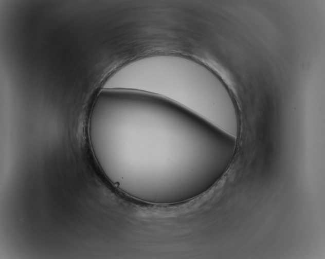 X0000088190009200705151008