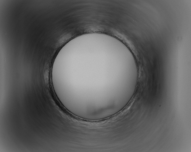 X0000088190010200705151008