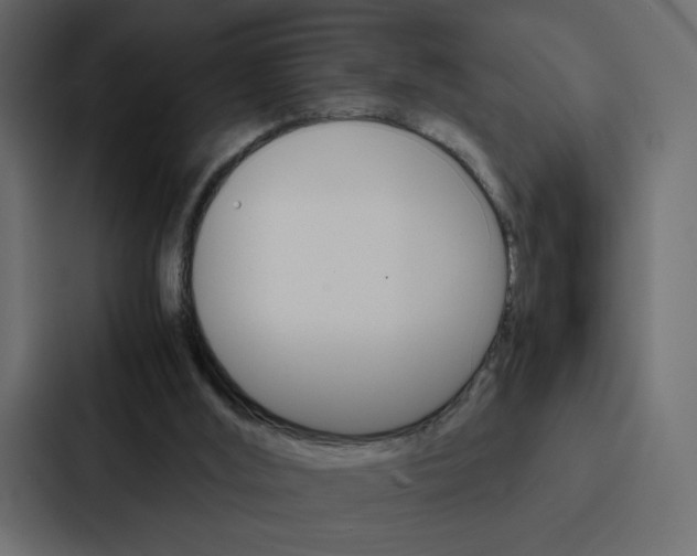 X0000088190012200705151008