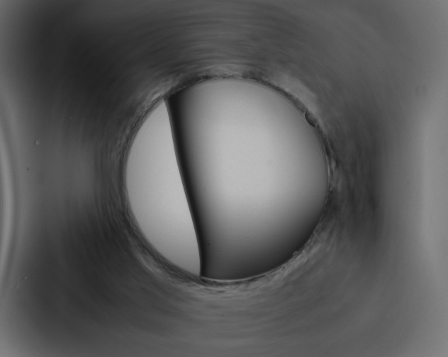 X0000088190013200705151008