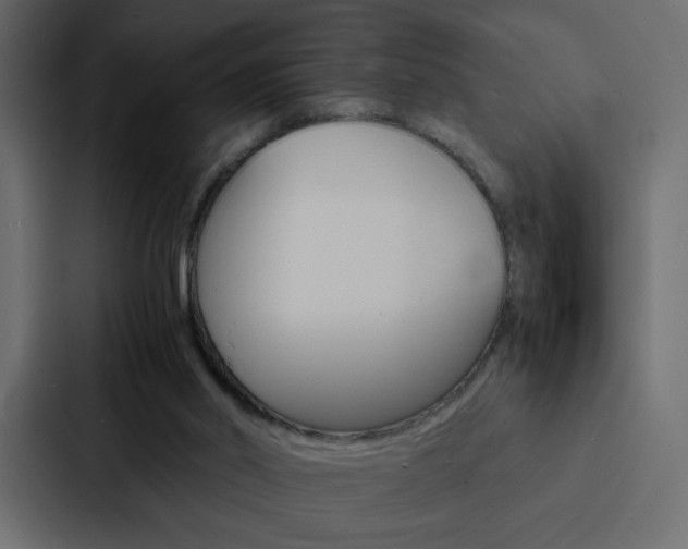 X0000088190014200705151008