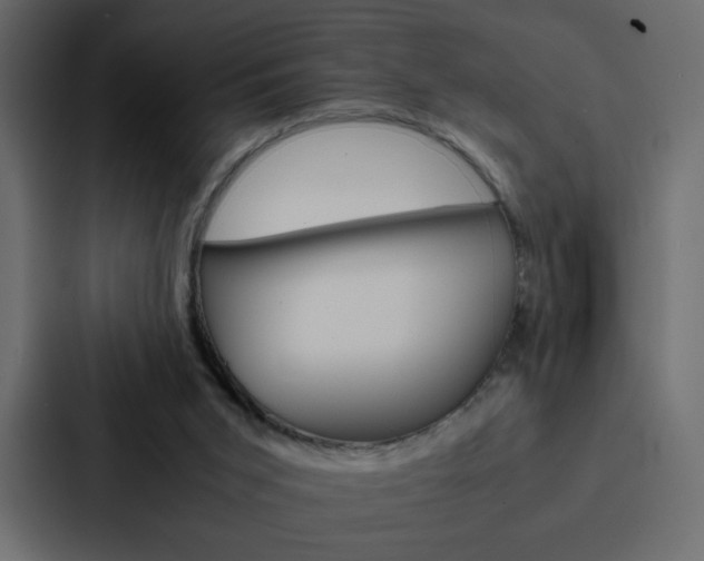 X0000088190015200705151008