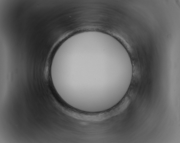 X0000088190016200705151008