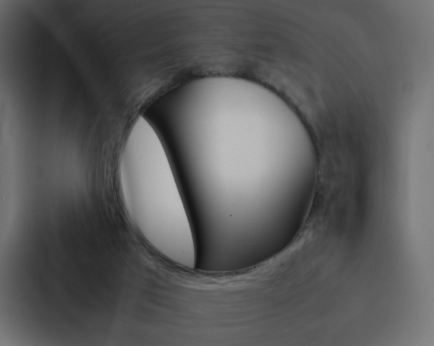 X0000088190017200705151008