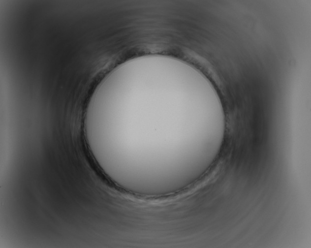 X0000088190018200705151008