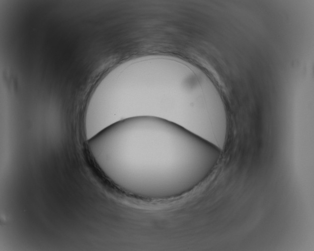 X0000088190019200705151008
