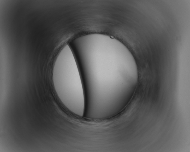 X0000088190020200705151008