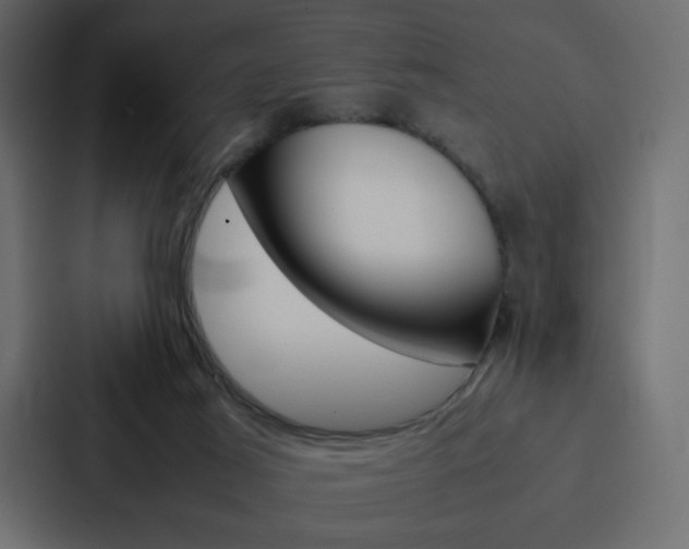 X0000088190021200705151008