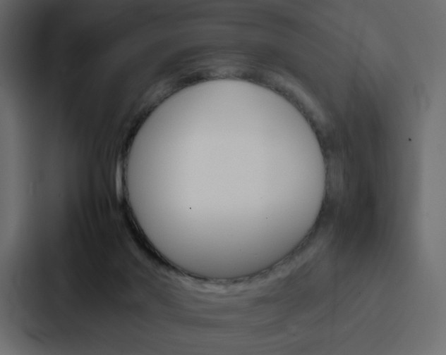 X0000088190022200705151008
