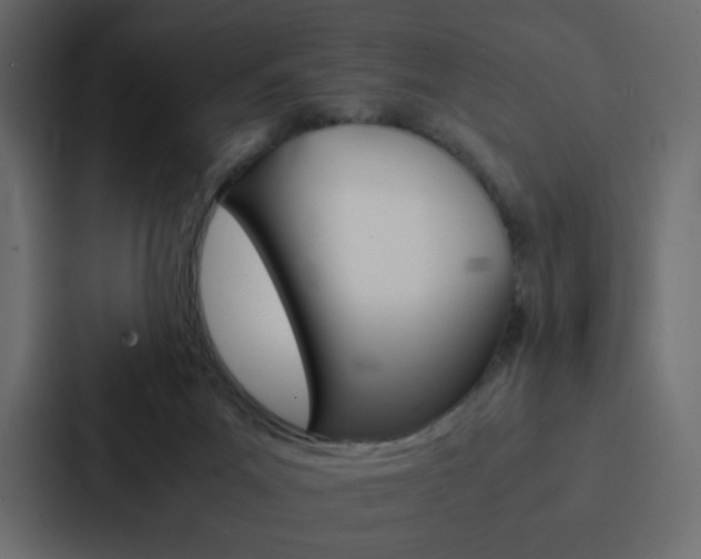 X0000088190023200705151008
