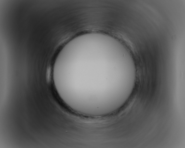 X0000088190024200705151008