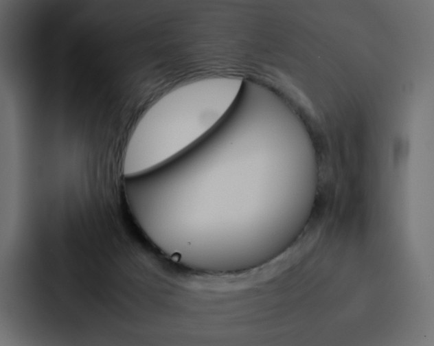 X0000088190025200705151008