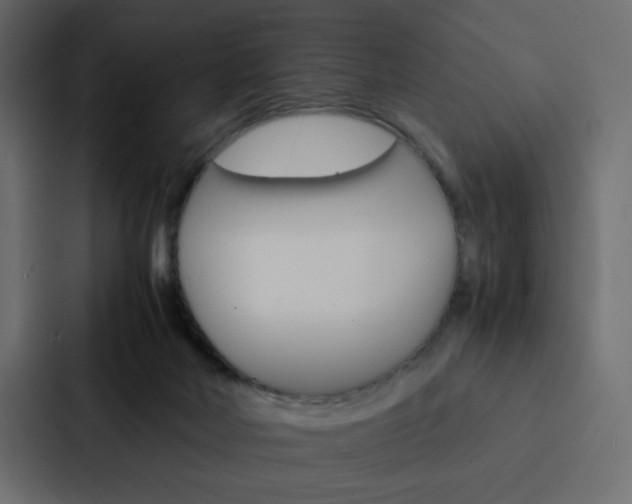 X0000088190026200705151008
