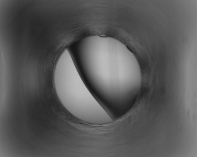 X0000088190027200705151008