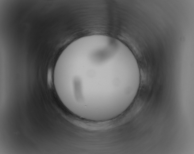 X0000088190028200705151008