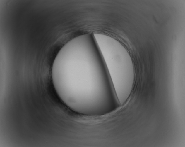 X0000088190029200705151008