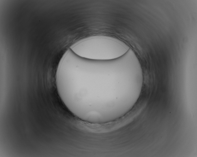X0000088190030200705151008