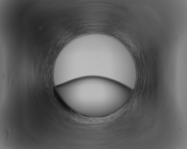 X0000088190031200705151008