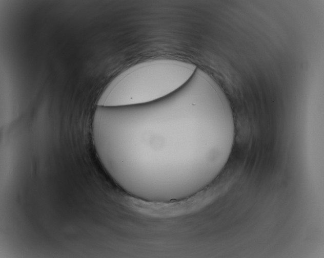 X0000088190034200705151008