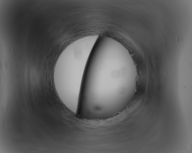 X0000088190037200705151008