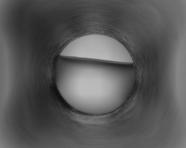 X0000088190040200705151008