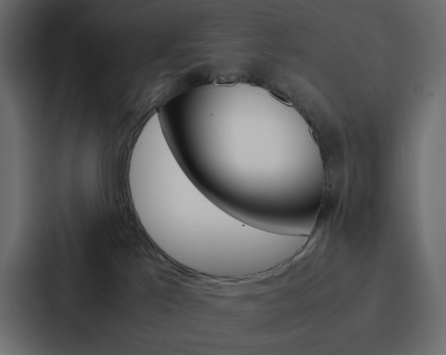 X0000088190041200705151008
