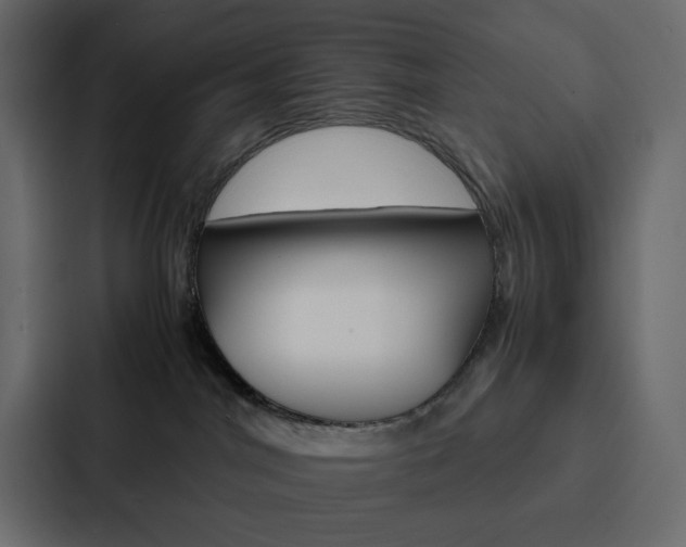 X0000088190044200705151008
