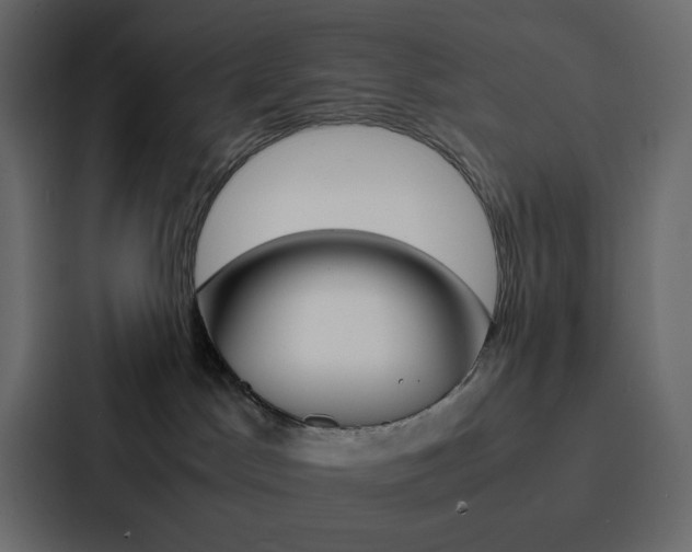 X0000088190045200705151008