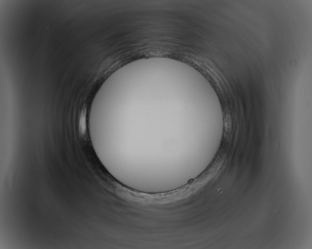 X0000088190046200705151008