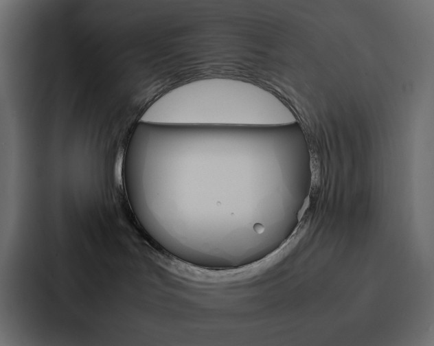 X0000088190047200705151008