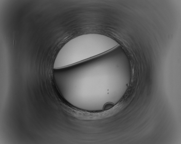 X0000088190048200705151008