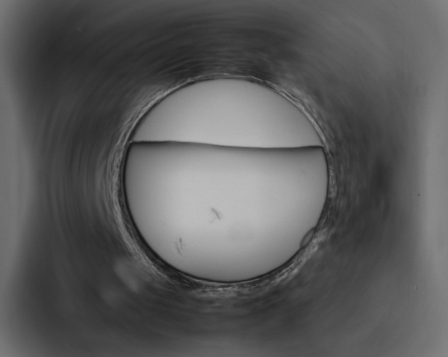 X0000088190049200705151007