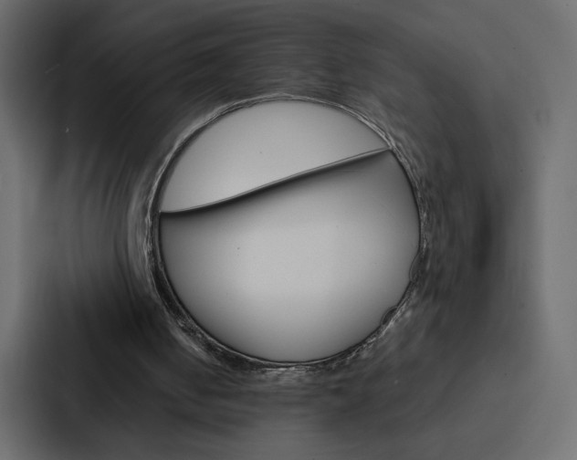 X0000088190050200705151007