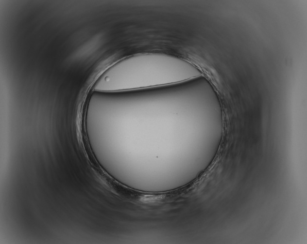 X0000088190051200705151007