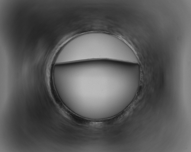 X0000088190055200705151007