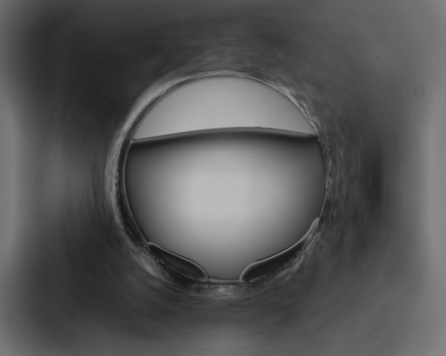 X0000088190056200705151007