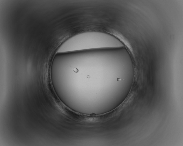 X0000088190057200705151007