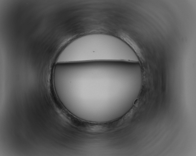 X0000088190058200705151007