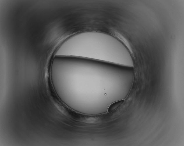 X0000088190059200705151007
