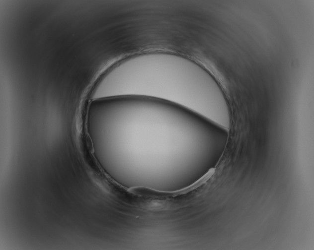X0000088190060200705151007