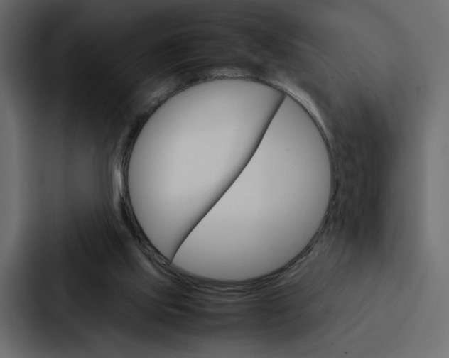 X0000088190061200705151007