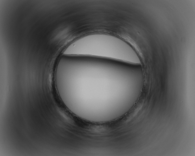 X0000088190063200705151007