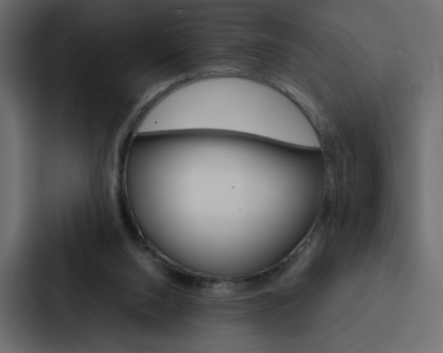 X0000088190064200705151007