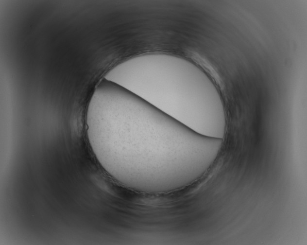 X0000088190065200705151007