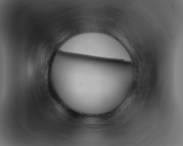 X0000088190066200705151007