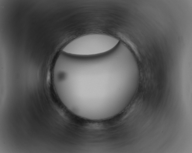 X0000088190067200705151007