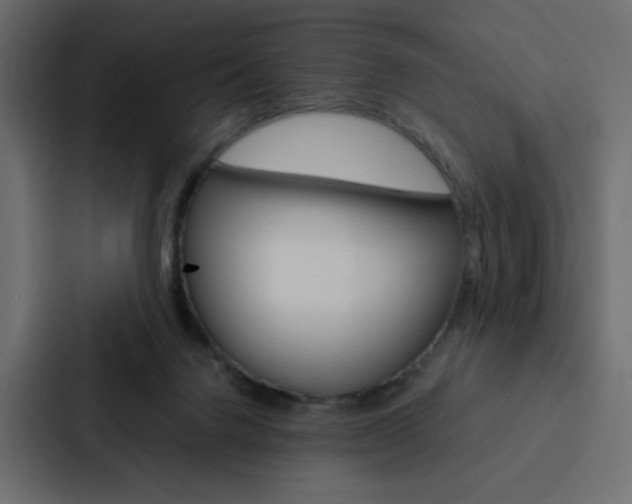 X0000088190072200705151007