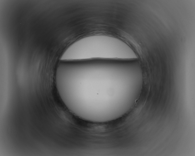 X0000088190073200705151007