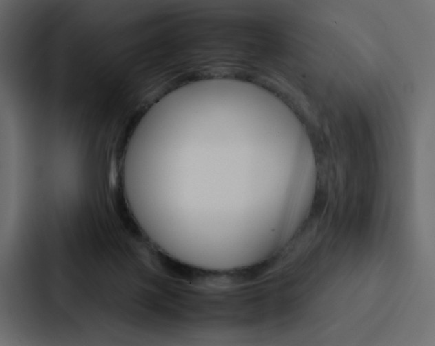 X0000088190075200705151008