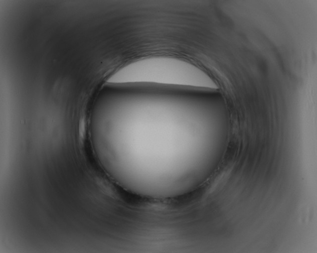 X0000088190076200705151008